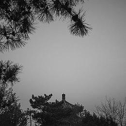 《与狼同行2》剧情不依赖前作 没玩过也可以理解